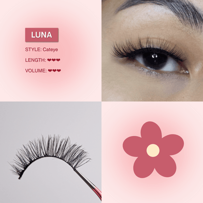 Classic Lash Kit