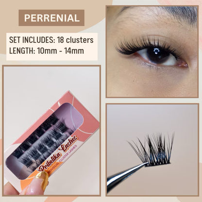 Lash Trio Mini Segmented Cluster Lash Kit (Lashcara + Sealer + Remover)