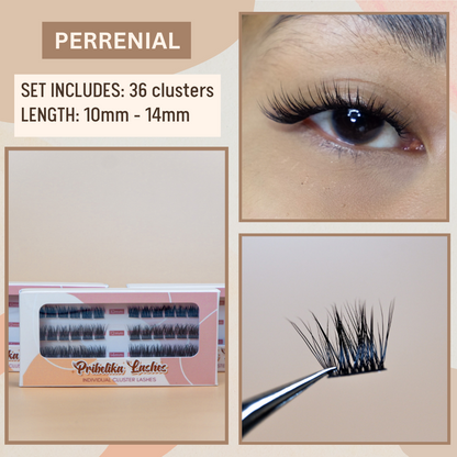 Segmented Cluster Lashes