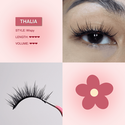 Classic Lash Kit